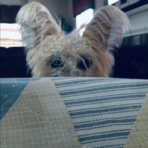 Meet your Posher, Arianna